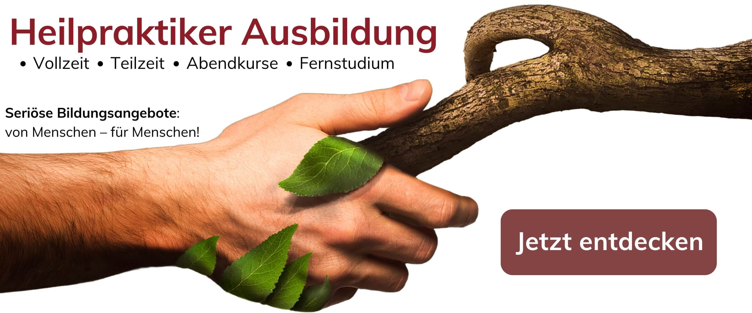 Heilpraktiker-Ausbildung-vergleich